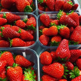 fraises
